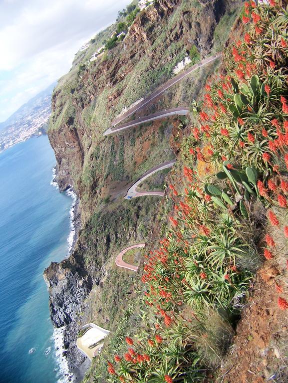 Apartment - The Historical Center Of Funchal In Alojamento Local Exterior foto
